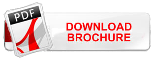  dialsolin broucher